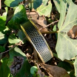 Le bracelet cuir vert sapin